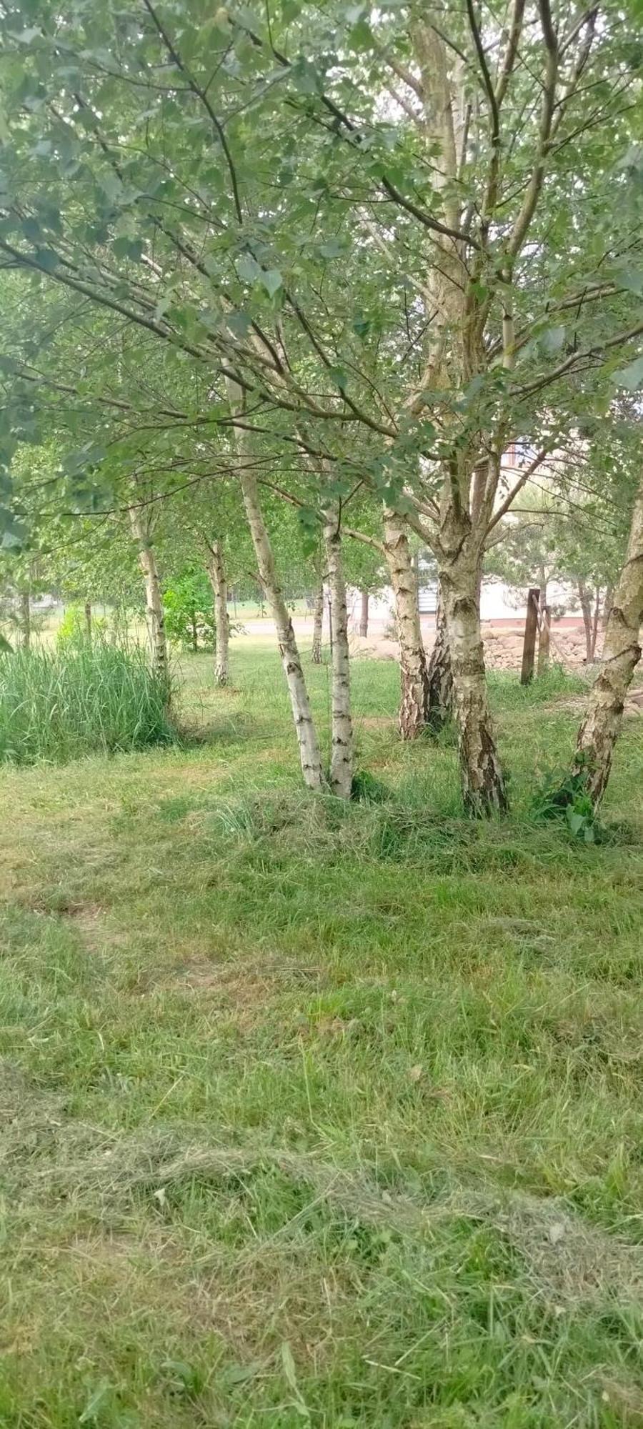 Brzozowy Zakatek Slawoborze